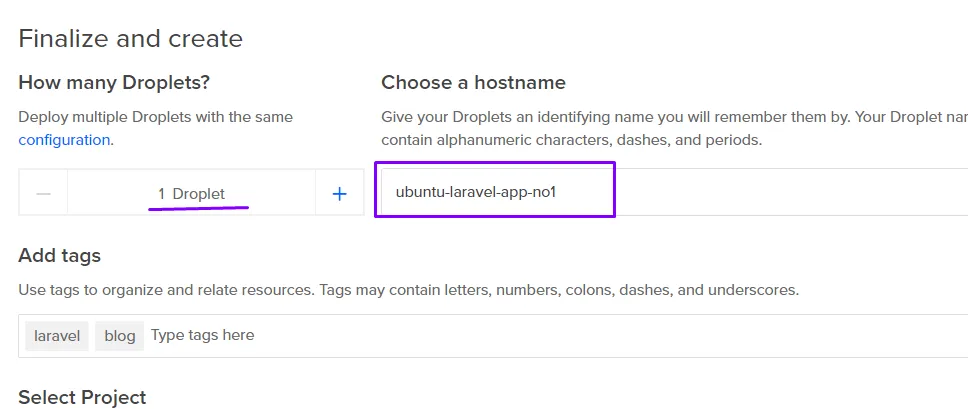 Un droplet con el nombre ubuntu-laravel-app-no1 y las etiquetas laravel y blog