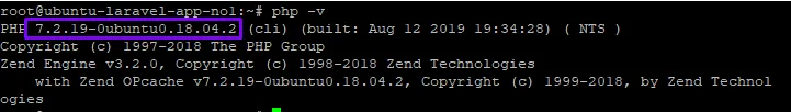 Salida de php -v mostrando PHP 7.2.19 en Ubuntu 18.04